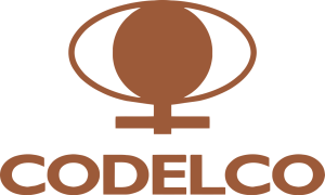 Logo Cliente de GECON Chile -